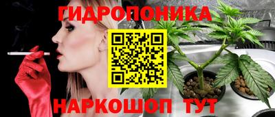 стафф Тверь
